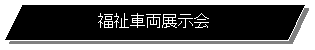 slӌ`: ԗW